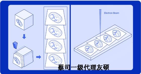 北京蔡司北京扫描电镜